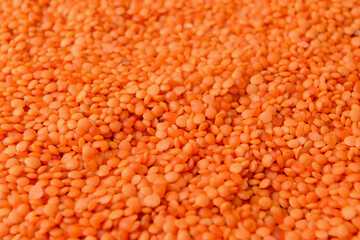 Raw red lentils as background