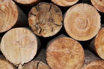 Wood logs for the fireplace