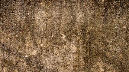 Moist Damp patch on Sand wall due to Rain penetration. Grunge crack moist concrete sand wall texture Pattern Background design element. Close up. Natural grungy color shade with minor uneven cracks. 