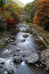 清滝川の紅葉