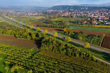 Fototapeta na wymiar A drone view of the stunning expanse of the Vosges foothills. Autumn vineyards in the morning fog.