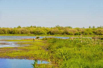  Steinhuder Meer-Meerbruchswiesen