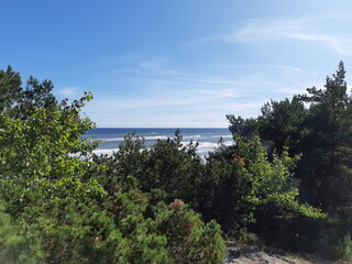 Aussicht Ostsee von Nadelwald und Düne, Hel, Polen