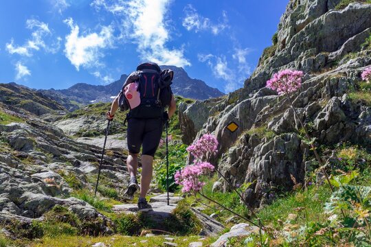 hiking in the mountains via francigena