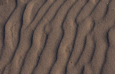 Pattern in the sand left by the waves at Namaqua National Park
