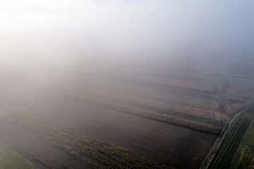 Fototapeta premium A drone view of the stunning expanse of the Vosges foothills. Autumn vineyards in the morning fog.