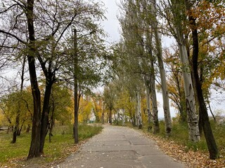 path in autumn park