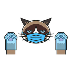 Grumpy cat in medical face protection mask 