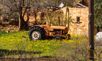 Old tractor in a patch of wildflowers in the Biedouw valley