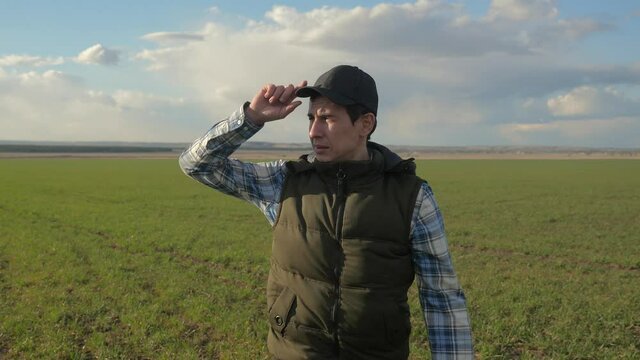 man farmer red neck in a cap is walking on a green field. spring harvest agriculture concept. male walks on winter wheat green lifestyle inspects the crop