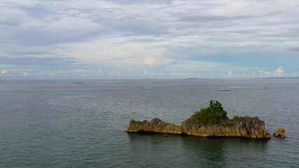 Fototapeta na wymiar Small rocky island with a tree, top view.