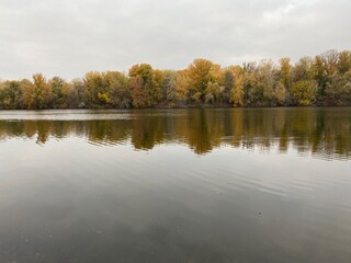 Fototapeta premium autumn trees reflected in water