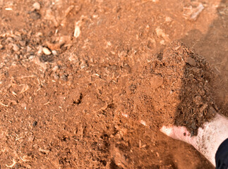 Peat Moss background. Peat moss industry harvests and ships millions of kilograms to countries...