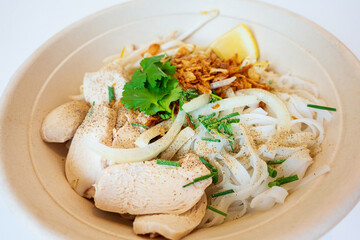 Delicious homemade Vietnamese soup Pho cooked with rice noodles, coriander leaves, soy sprouts, onions and chicken pieces for a complete and healthy meal