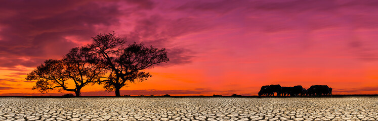 Afrikaanse safari dieren savanne silhouet zonsondergang achtergrond landschap scène, met droge, gebarsten grond.