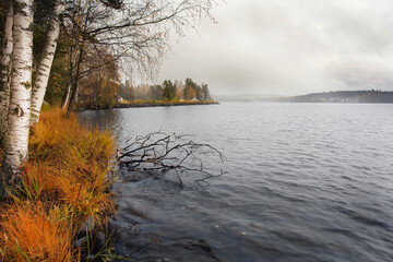 Lake shore, birch trees without foliage and autumn grass. landscape in cloudy weather, nature of Finland. Photo after processing