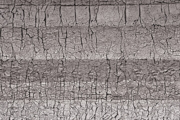 Fashionable gray background for an ad or advertisement.