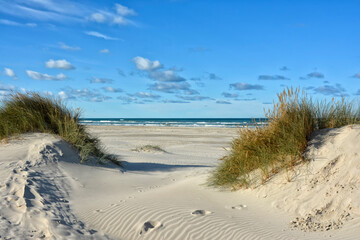 Fototapeta na wymiar Dünen und Strand in der Jammerbucht Dänemark