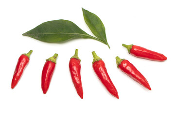 Fresh juicy peppers isolated on a white background