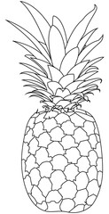 Black and White Pineapple With Line Art or Sketchy Style