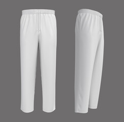 Blank pants mockup in front and side views. Sweatpants. 3d rendering, 3d illustration.