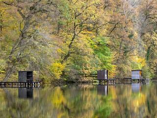 herbstliche Altrheinidylle bei Jockgrim, Rheinland-Pfalz, Deutschland