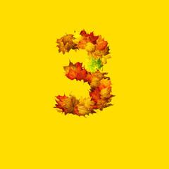 Colorful autumn leaves isolated on yellow background as number three.