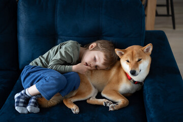 Preschool boy watching TV with his Shiba inu dog on blue sofa. People on the couch. Leisure during...