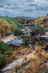 Aguas torrenciales

