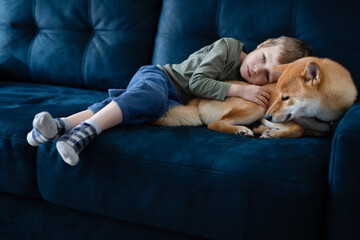 Preschool boy watching TV with his Shiba inu dog on blue sofa. People on the couch. Leisure during...