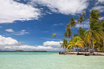 Island with coconut tree and clear water 