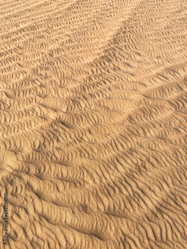 Golden Desert Sand Texture As Background Wall Mural Wallpaper Murals Aleksandr Matveev Golden Desert Sand Texture As Background Wall Mural Wallpaper Murals Aleksandr Matveev