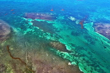 Naklejka na ściany i meble Tropical Sea Floor around Florida Keys