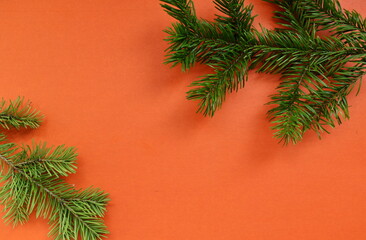 Green branches of a Christmas tree on an orange background