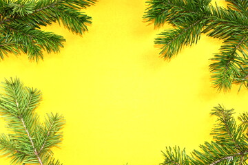 Fototapeta na wymiar Green branches of a Christmas tree on a yellow background