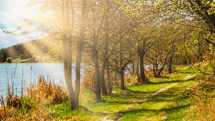 Spring landscape with trees by the river in the sun rays