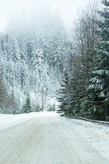 Road in the mountains
