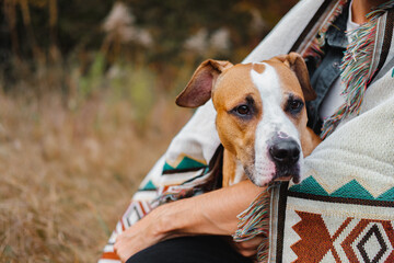 Dog sits with human covered in poncho blanket outdoors in autumn