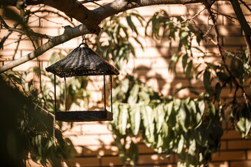 Bird feeder hanging on a tree branch with green leaves