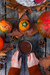 Female hands holding a mug of hot chocolate against autumn background of pumpkin, fall colorful leaves, fall composition, Thanksgiving, concept. Top view.