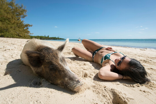 Young woman relaxing by pig at beach on sunny day