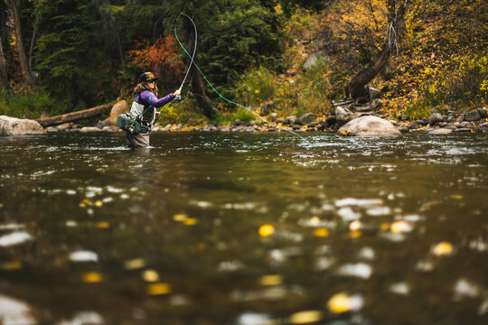 Surface level of woman fly fishing at Roaring Fork River in forest