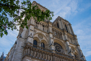 View through the foliage of the facade of Notre-Dame Cathedral on a sunny day