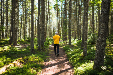 Solo man on a nature walk trail in coastal Maine