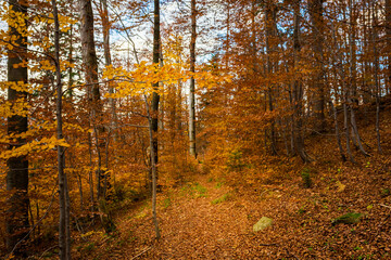 Autumn mountain landscape Wielka Racza