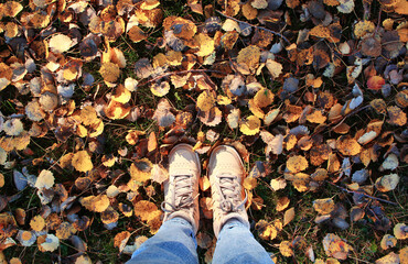 Female legs in sneakers and jeans standing on ground with autumn leaves in park, top view.Lifestyle, fashion trendy style