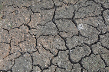 Texture of the dried earth with clay and sand, close-up. Dry cracked earth background