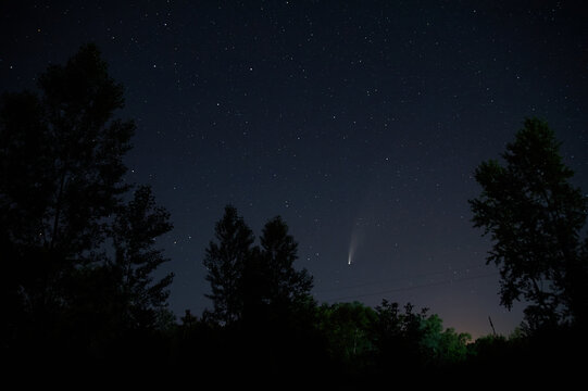 comet NEOWISE between trees view outside the city