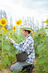 An Asian farmer is smiling happily in his sunflower field.