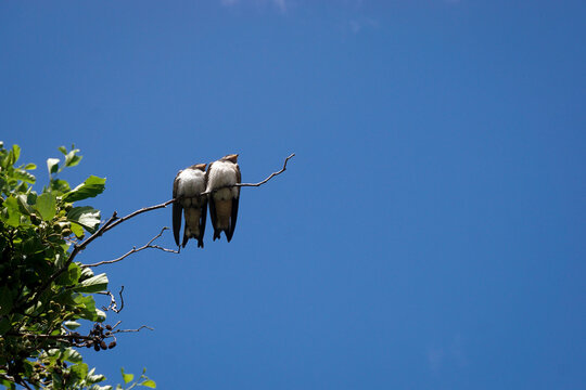 Zweisamkeit 이미지 – 찾아보기 9,278 스톡 사진, 벡터 및 비디오 | Adobe Stock